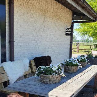 Westendorp Luxe Gastenkamer Met Living En Keuken Bij Friezen Paarden Stal Pellendijk المظهر الخارجي الصورة