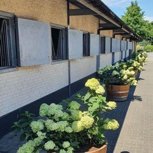 Westendorp Luxe Gastenkamer Met Living En Keuken Bij Friezen Paarden Stal Pellendijk المظهر الخارجي الصورة